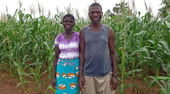 Ehepaar aus Malawi, das dank ökologischer Landwirtschaft ein ausreichendes Einkommen hat.