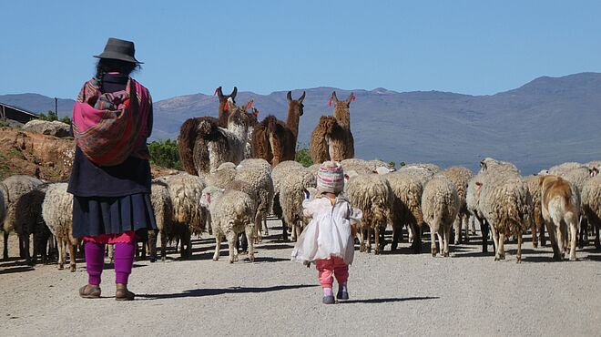 Eine Frau mit ihrer kleinen Tochter und einer Herde Schafe und Alpakas.