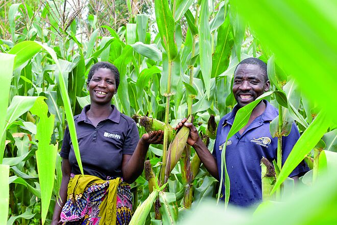 Wenn die Grundbedürfnisse der Bevölkerung gestillt sind, kommt es weniger zu Konflikten. Bild: Evangelical Association of Malawi