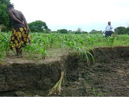 Zuerst aussergewöhnlich starke Regenfälle, dann Überschwemmungen. Eine Bäuerin betrachtet die Reste ihrer möglichen Ernte. Bild: World Relief Malawi