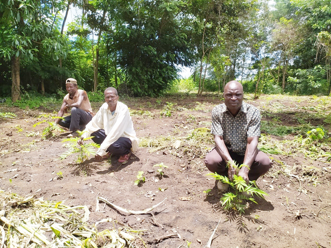 Yafiti (rechts) hilft bei der Aufforstung im Dorf Kababu mit. Bild: Evangelical Association of Malawi 