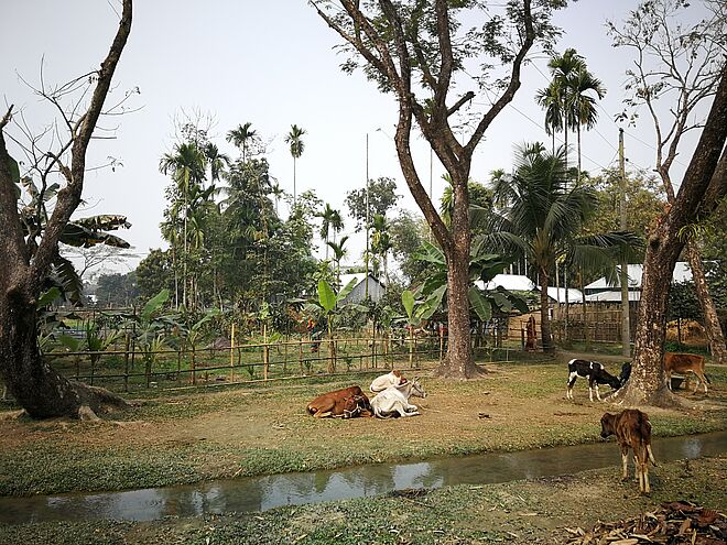 Ein Typischer Bauernhof der Dhobaura-Region. Bild: Thomas Stahl