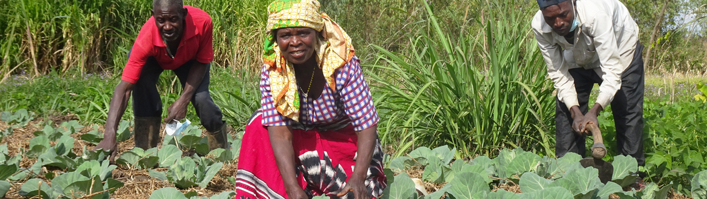 Sie befinden sich im Bereich Länder und Projekte beim Land Malawi: Nachhaltig gegen Hunger. Bild Christa Bauer 