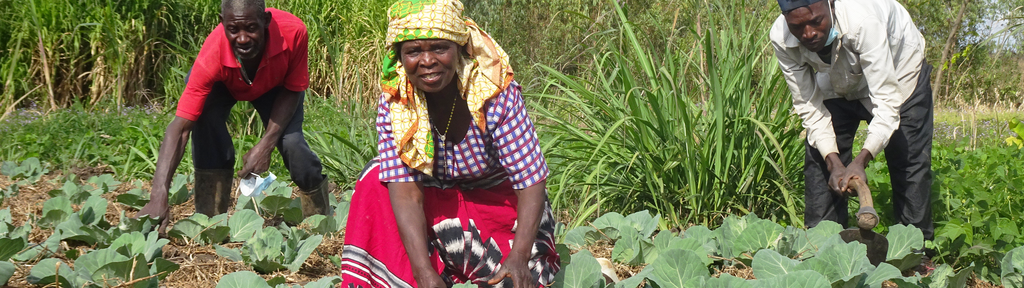 Sie befinden sich im Bereich Länder und Projekte beim Land Malawi: Nachhaltig gegen Hunger. Bild TearFund Schweiz Sie befinden sich im Bereich Länder und Projekte beim Land Malawi: Nachhaltig gegen Hunger. Bild Christa Bauer