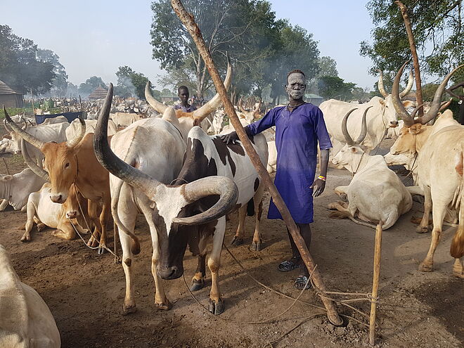 Im Südsudan sind viele Kinder statt in der Schule bei den Viehherden. Bild: TearFund Schweiz