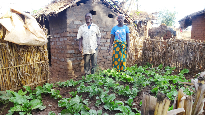Nachhaltige Landwirtschaft in Malawi. Bild: Christa Bauer