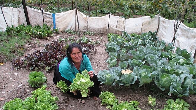 Peruanische Frau in ihrem selbst angelegten Gemüsegarten