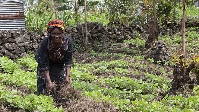 Mit der Anbaumethode der nachhaltigen Landwirtschaft können die Kleinbauern ihren Ernteertrag bis zu 80 Prozent erhöhen. Das Bild zeigt eine Bäuerin auf ihrem Feld.